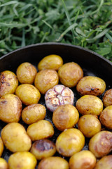 fried small potatoes in a pan lies on the grass