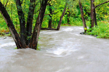 inondation