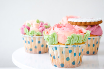 Cupcakes with colorful cream flowers on white background. Picture for a menu or a confectionery catalog.