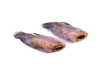 Crispy Gourami Fish on white background