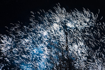 bright fireworks on the black sky