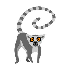 Cute lemur isolated on white background. Flat vector illustration. © Alisa