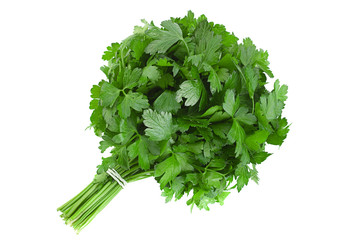 Parsley herb bunch