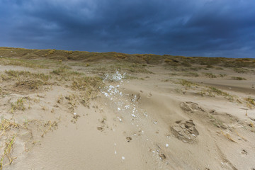 Heavy Wester storm to Dutch North Sea coast blows foam caused by surf breakers  inland to the dunes against a sky with heavy cloud cover