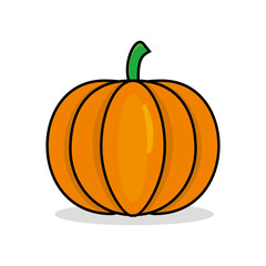 Pumpkin vector illustration isolated on white background. Pumpkin clip art