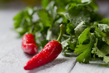 Harvesting for the winter pickles in jars fresh cucumbers water drops greens.
