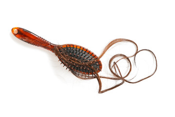 Women with long hair on the hair brush show hair loss problems.