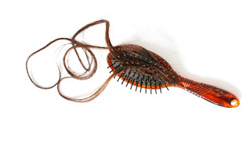 Women with long hair on the hair brush show hair loss problems.