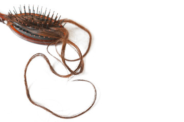 Women with long hair on the hair brush show hair loss problems.