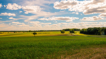 Fototapeta na wymiar Landscape with green fields and clouds