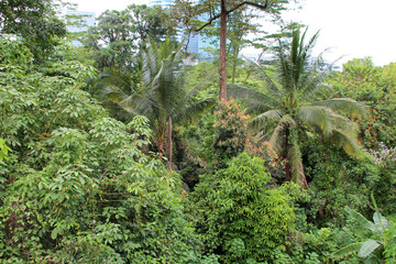 in the hill park in singapore 
