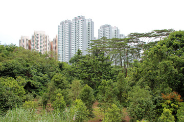 skyline and parks in singapore 