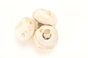 Raw Champignon heap for cooking