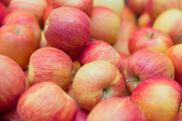 ripe delicious red yellow apples as background