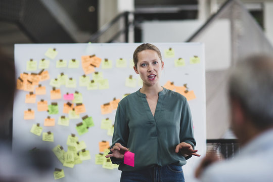 Female executive holding a brainstorm meeting