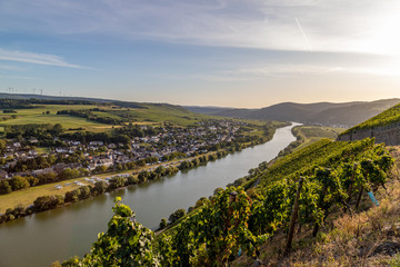 Fototapeta na wymiar Panoramablick auf das Moseltal mit dem Weinort Brauneberg im Hintergrund an einem sonnigen Herbsttag