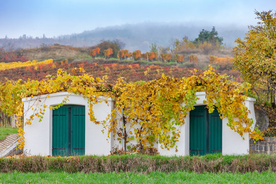 old cellars and autumn vineyards near Retz, Lower Austria, Austria