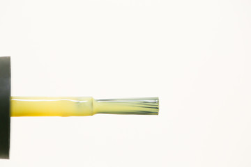 nail polish brushes isolated on white background - Image