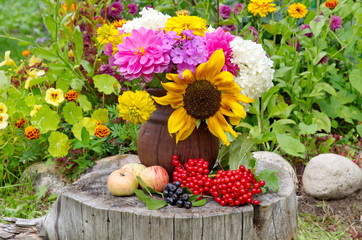 Bouquet of flowers in a clay jug, apples and berries of viburnum and mountain ash on an old stump in the garden