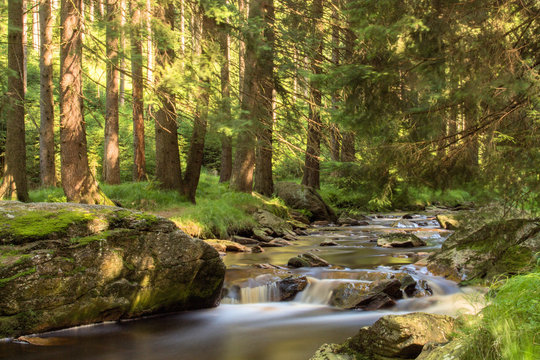 Langzeitbelichtung Gewässer im Erzgebirge an der schwarzen Pockau Fluss mit Steinen, Wald, Lichtstimmung, Naturschutzgebiet, Schwarzwassertal