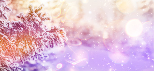 Fototapeta na wymiar Border winter nature christmas background with frozen spruce, glitter lights, bokeh, snow. View through white frost pine branch. Happy new year. Text space. Elements of this Image Furnished by NASA