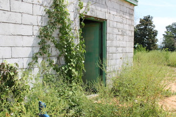Old Building, Weathered Door