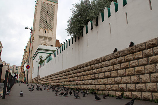 great mosque in paris (france)