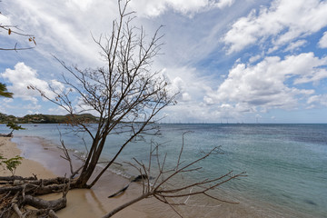 Sainte-Anne, Martinique, FWI - Pointe Marin beach