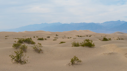 Fototapeta na wymiar Death Valley