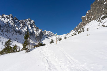 Mala Studena dolina in the winter. Tatra Mountains. Slovakia. © Jacek Jacobi