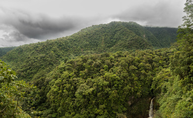 An untouched forest high in the Central Volcanic Sierra, Costa Rica