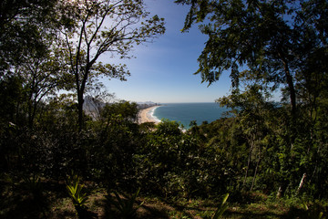 Beach view in the park
