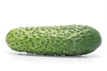 One whole fresh pickling cucumber isolated on white background