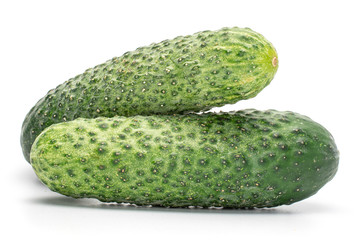 Group of two whole fresh pickling cucumber isolated on white background