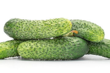 Lot of whole fresh pickling cucumber isolated on white background