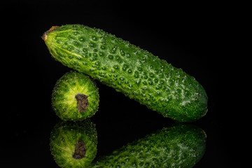Group of two whole fresh pickling cucumber isolated on black glass
