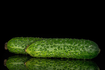 Group of two whole fresh pickling cucumber isolated on black glass