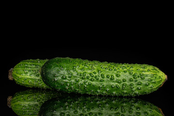 Group of two whole ripe fresh pickling cucumber isolated on black glass