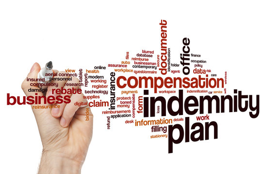 Indemnity plan word cloud