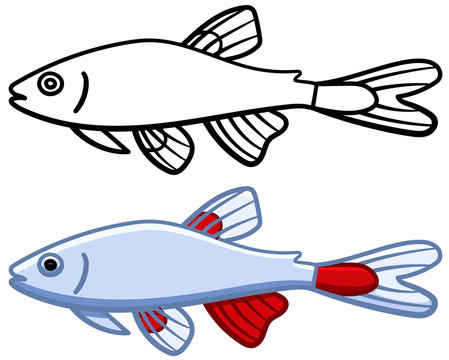 Bloodfin tetra in colored and line versions