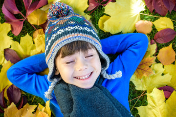 Little kid boy lying in autumn leaves in blue pullover. Happy child having fun in autumn park on...