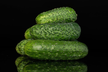 Lot of whole fresh pickling cucumber isolated on black glass