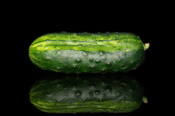One whole fresh green pickling cucumber isolated on black glass