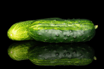 Group of two whole fresh green pickling cucumber isolated on black glass