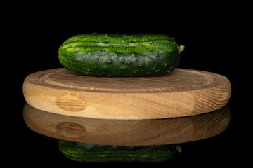 One whole fresh green pickling cucumber on bamboo plate isolated on black glass
