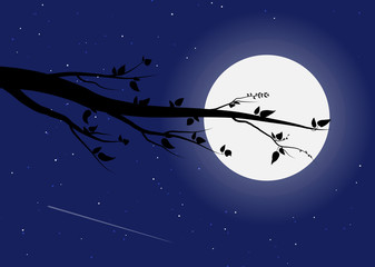 Obraz na płótnie Canvas Tree branch on the background of the moon