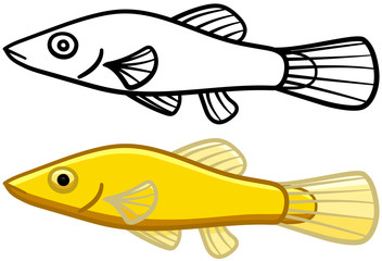 Chinese Algae Eater in colored and line versions