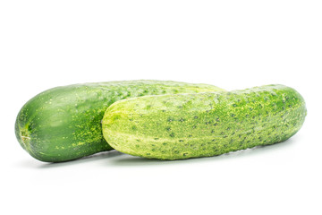 Group of two whole fresh green pickling cucumber isolated on white background