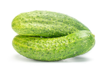 Group of two whole fresh green pickling cucumber with pimples isolated on white background