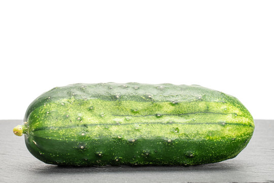 One Whole Fresh Green Pickling Cucumber On Grey Stone Isolated On White Background